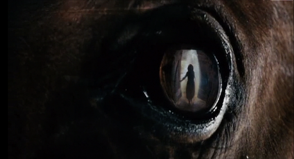 War Horse