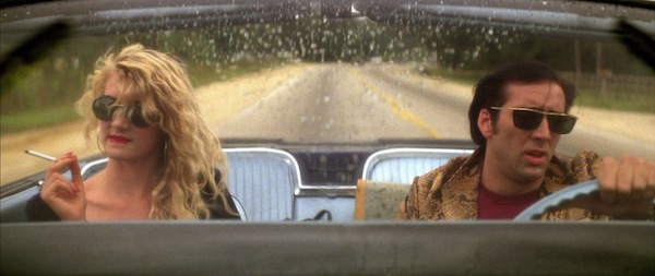 wild4 Blindsided by WILD AT HEART