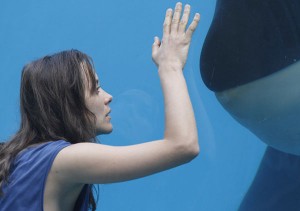 RUST600 300x211 Marion Cotillard in RUST AND BONE