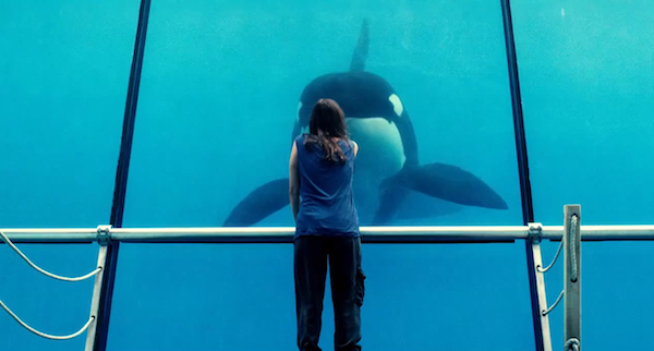 RUST AND BONE rust and bone Hey Man, Nice Shot 2012 Edition