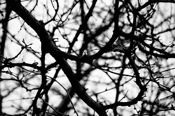 winter opt Everybody’s Talkin’ 1 – 25 (Chatter from Other Bloggers)